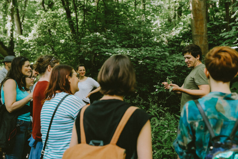 foraging walk group gathered to check